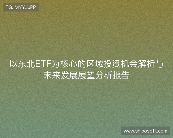以东北ETF为核心的区域投资机会解析与未来发展展望分析报告